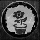 Feng Shui