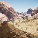 Desert Dunes Winner