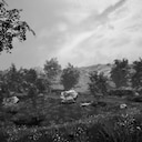 Grasslands
