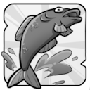 The fish is fresh