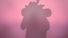 Unlock Paz