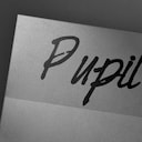 Pupil