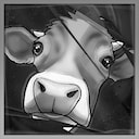 She doesn't bite achievement