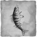 Altai Fishing