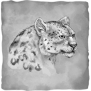 Noble Irbis