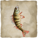 Altai Fishing