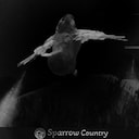 First Flight