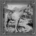 A new friend! achievement