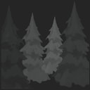 Into the Forest