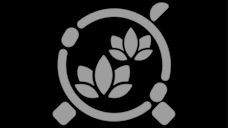 Mangrove Pools