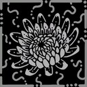 Full blossom of the evening achievement