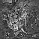 Release of Orochi