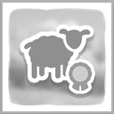Herding sheep