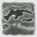 Of Seals And Men
