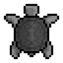 I Like Turtles