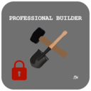 PROFESSIONAL BUILDER