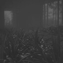 Complete East Maddon Park achievement