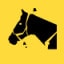 Horse Whisperer