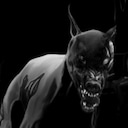 The Gun Survivor