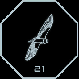 Conquista Hidden Shapes Animals HSA - 21