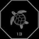 HSA - 13