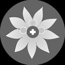 SWITZERLAND WATERMAN achievement