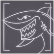 Shooting Shark