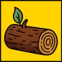 Where are these logs?