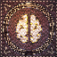 Polygnostic