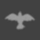 Flight of the Pigeon