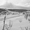 Ice Plains