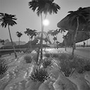Desert Dash