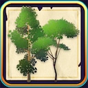 Woodcutter