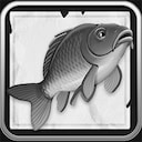 Fly Fisher