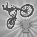 Big Air Bronze