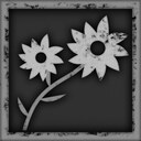 Flower love!