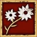 Flower love!