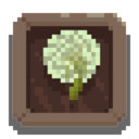 Many O' Weeds
