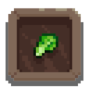 Sow It Begins achievement