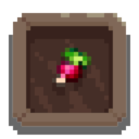 Sprout Scout achievement