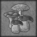 Excellent mushroom-picker achievement