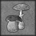 Mushroom-picker