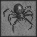 Spider killer