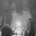 Third Level achievement