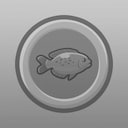 Globetrotter Fishing Completionist
