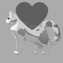 Like This Cat