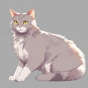 Get This Cat