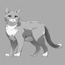 Get This Cat