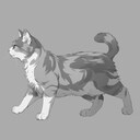 Get This Cat