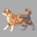 Get This Cat